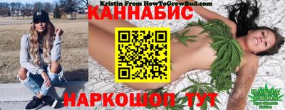 гидропоника Владимир