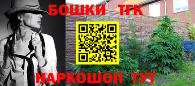 индика Владивосток