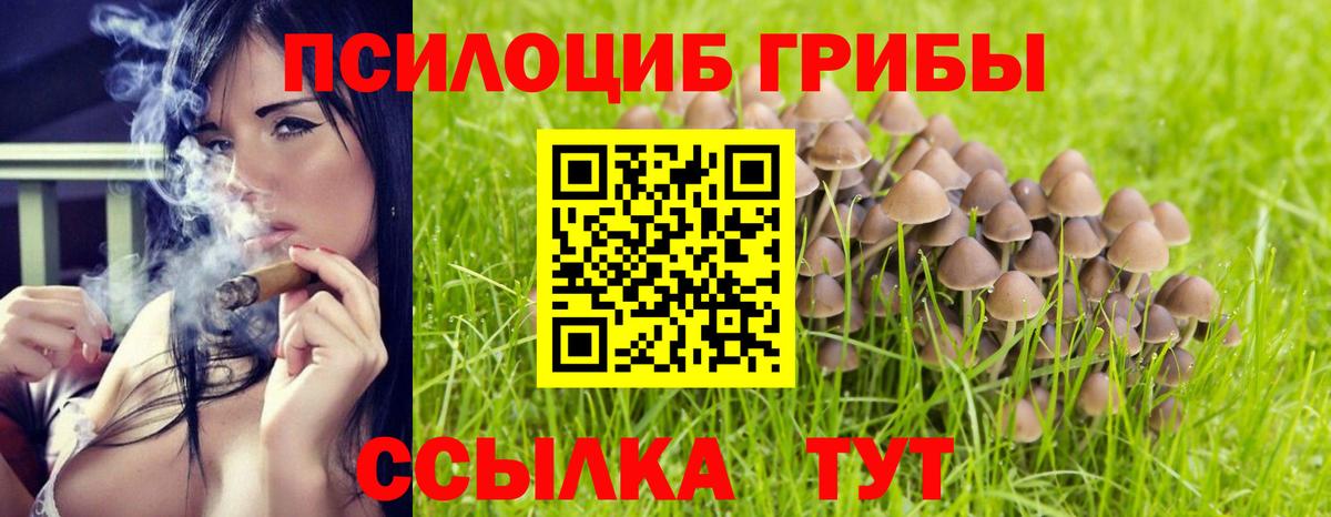 Галлюциногенные грибы Magic Shrooms Севастополь