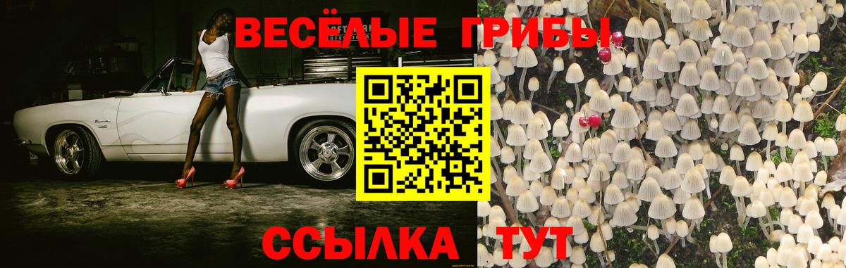 Псилоцибиновые грибы мухоморы  Галлюциногенные грибы прущие грибы  Севастополь  Вход с VPN 